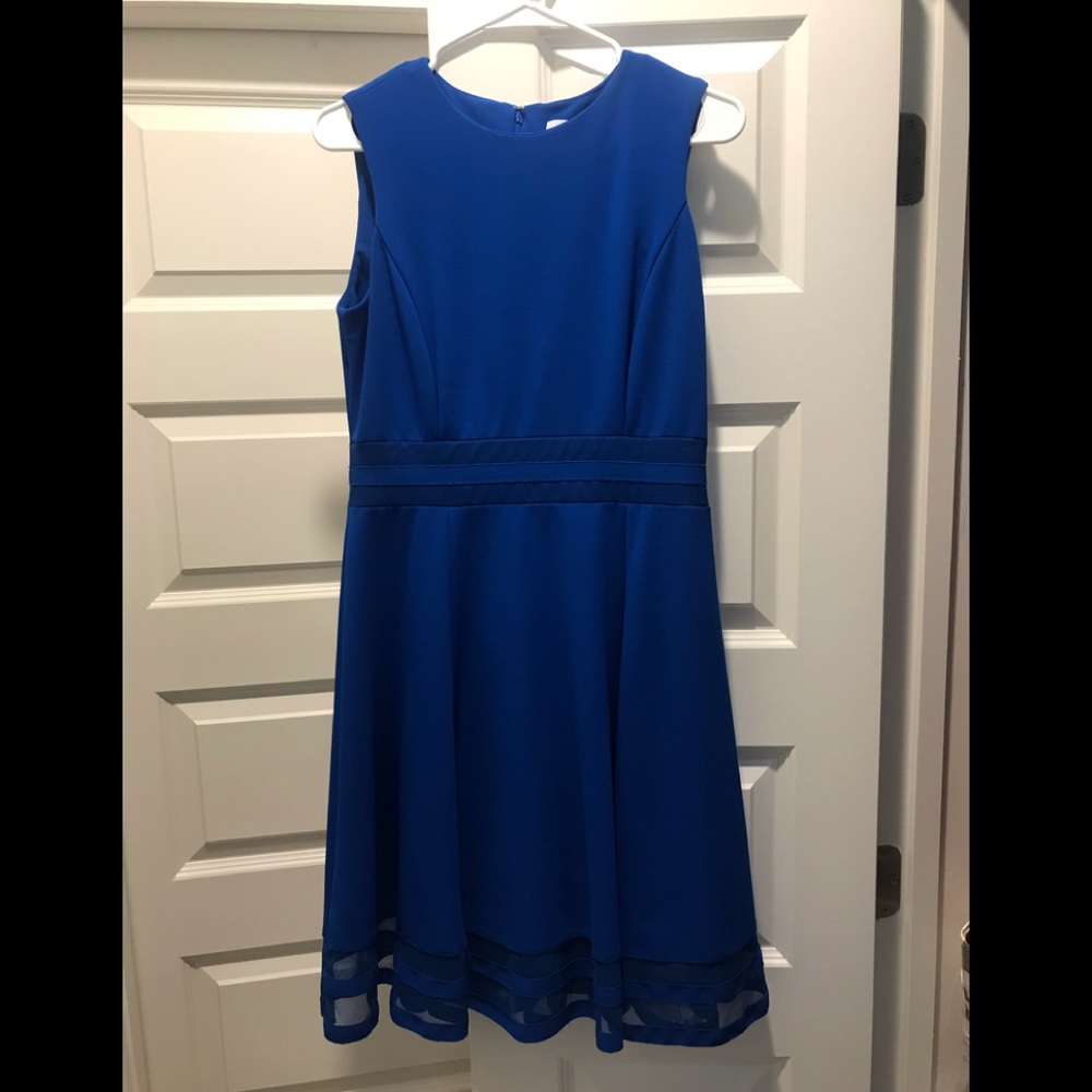 Calvin Klein Professional Dress